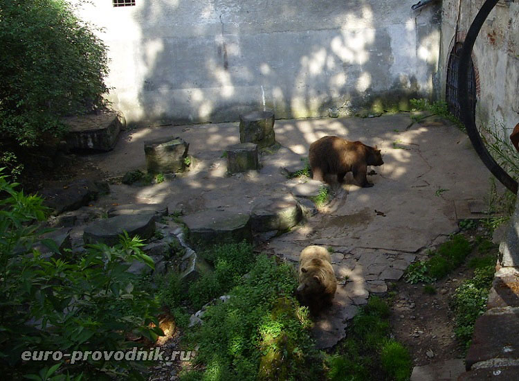 Медвежий ров в Крумловском замке